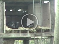 Untitled Clip 01 65